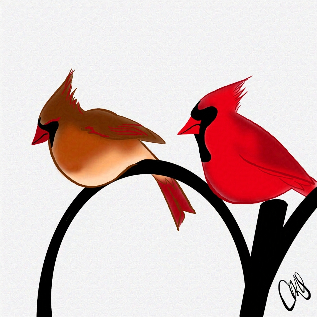 Male and female cardinals on a gate.
