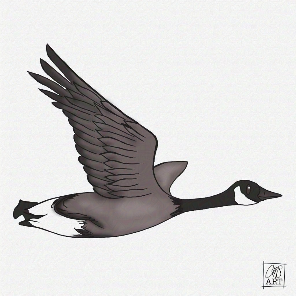 drawing of a Goose in flight.