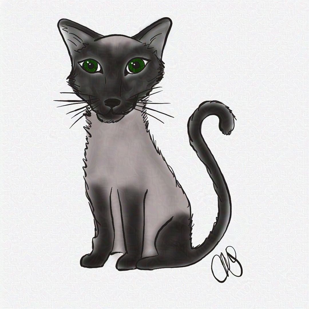 sitting siamese cat with tail curled and green eyes.