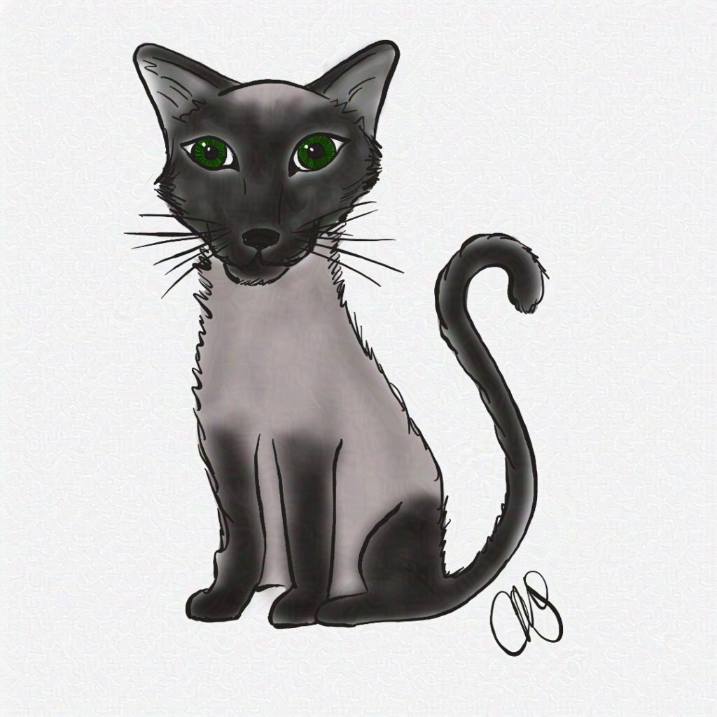 sitting siamese cat with tail curled and green eyes.