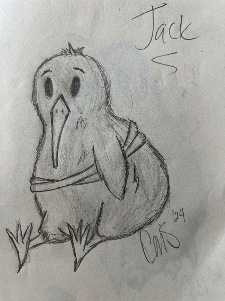 pencil drawing of a kiwi bird sitting with a bandage wraped around him.