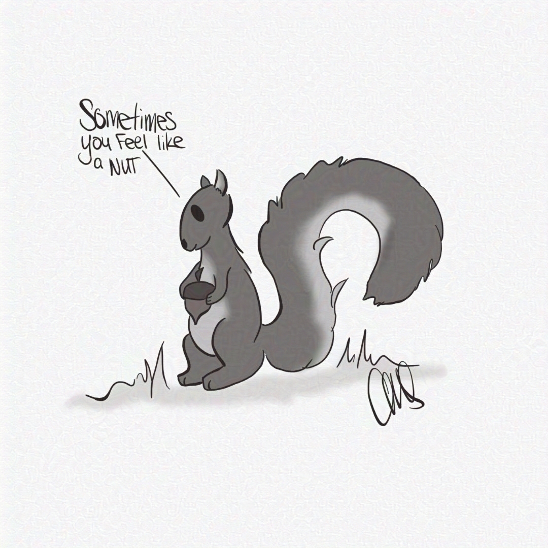 squirrel holding an acorn, text reading "Sometimes you feel like a nut".
