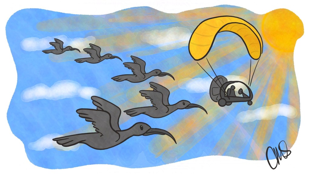 Illustration of a pilot leading dark birds, called Bald Ibis, in flight on a sunny blue sky filled day.