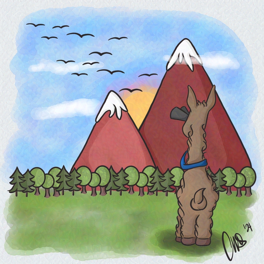 Lulu the llama looking at birds through binoculars. On the horizon in the distance is the sun coming up behind mountains, that are behind a forrest.