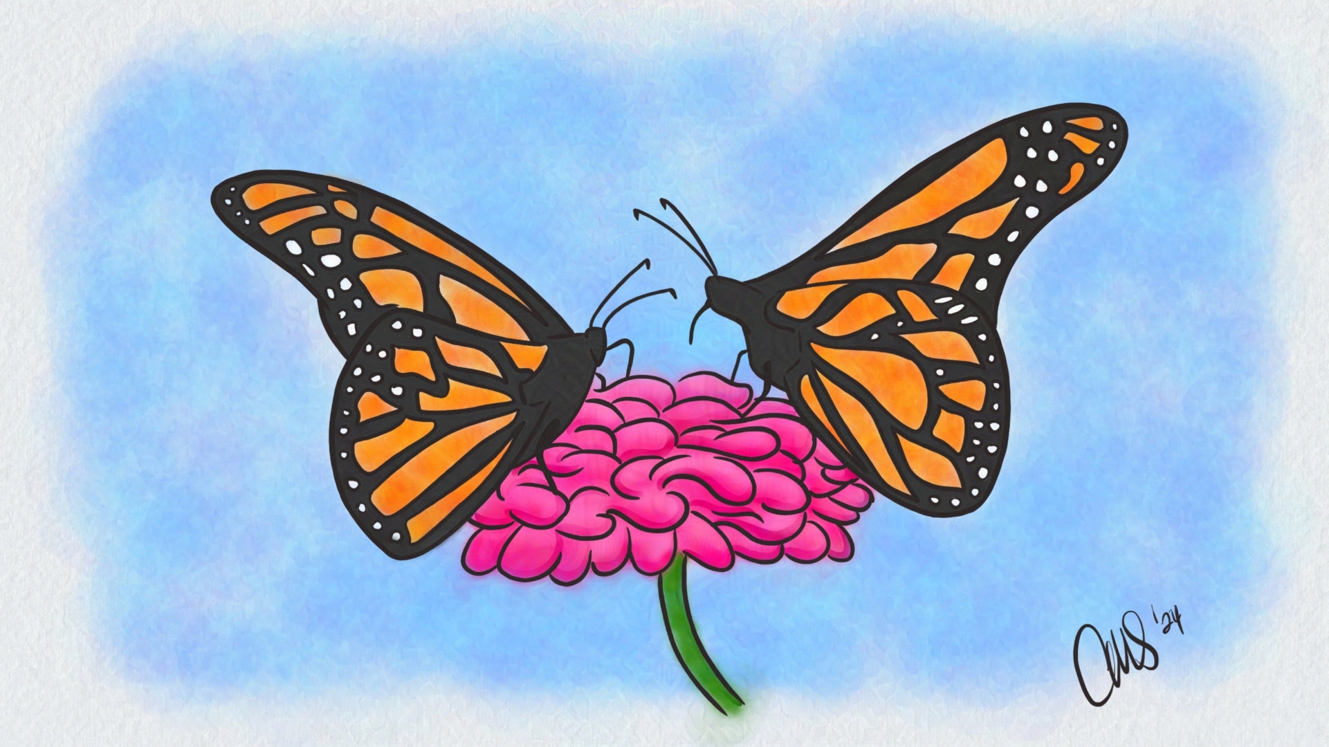 Two monarch butterflies on a pink flower. Looks like they are getting some nectar.
