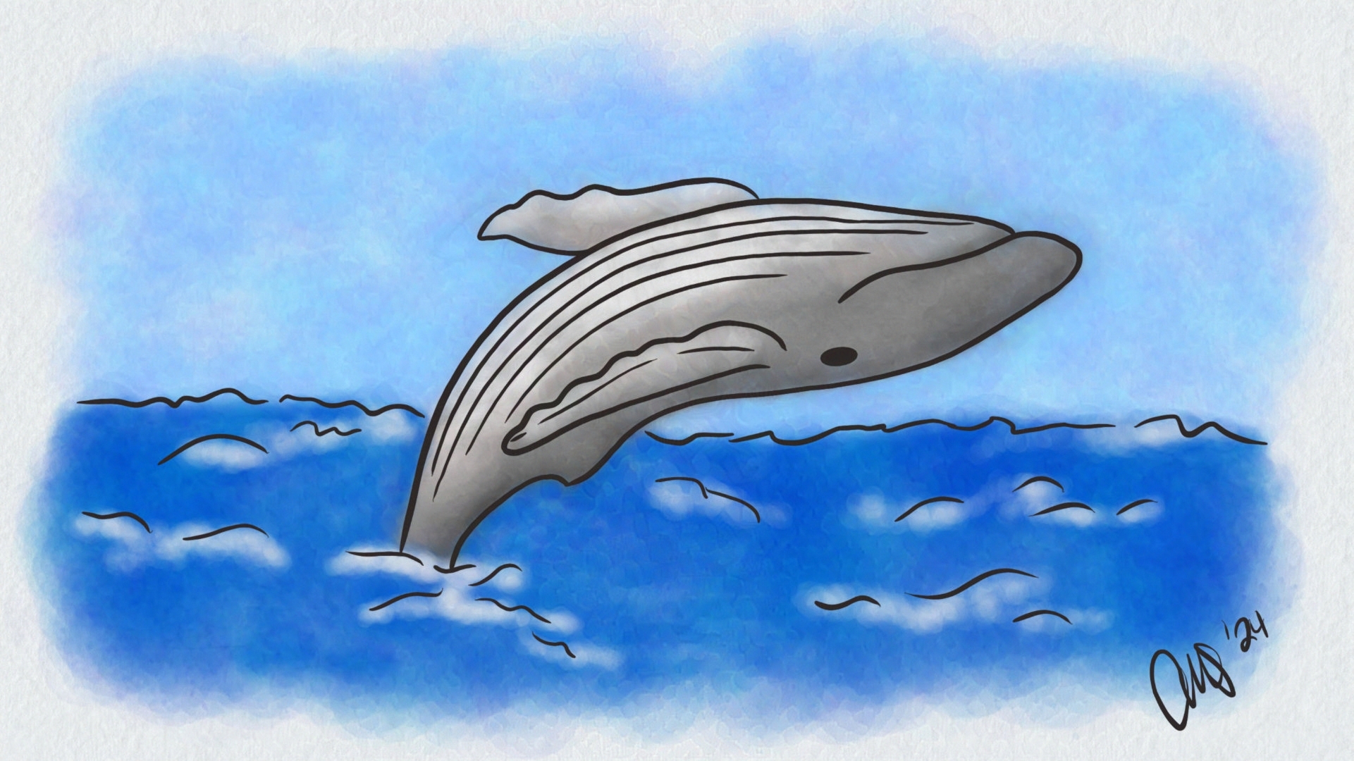 A fin whale jumping out of the water and doing a flip back down.