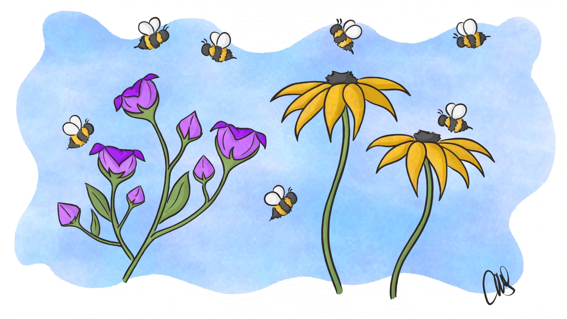 bees hovering around a few black-eyed susans and balloon plant/flower