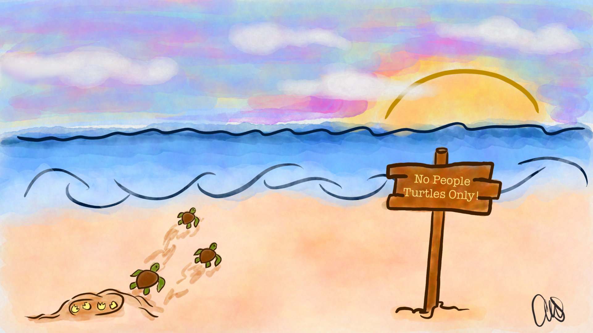 Turtles hatching and heading off to sea at sunset. There is a sign that says "No People, Turtles Only!"
