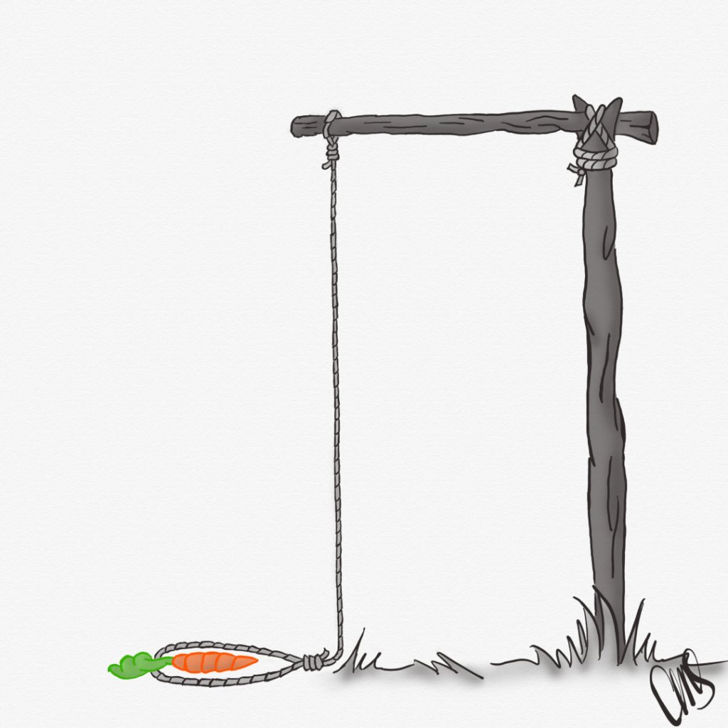 An animal trap with a carrot sitting inside the rope, waiting for an animal to come and trigger the trap.