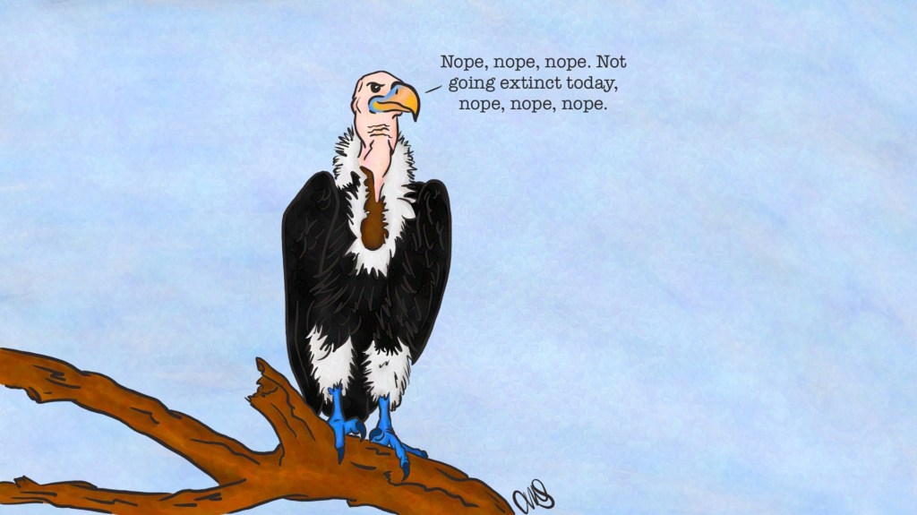 Vulture on a branch looking out. The sky is a grey-blue day. Text: "Nope, nope, nope. Not going extinct today. Nope, nope, nope."