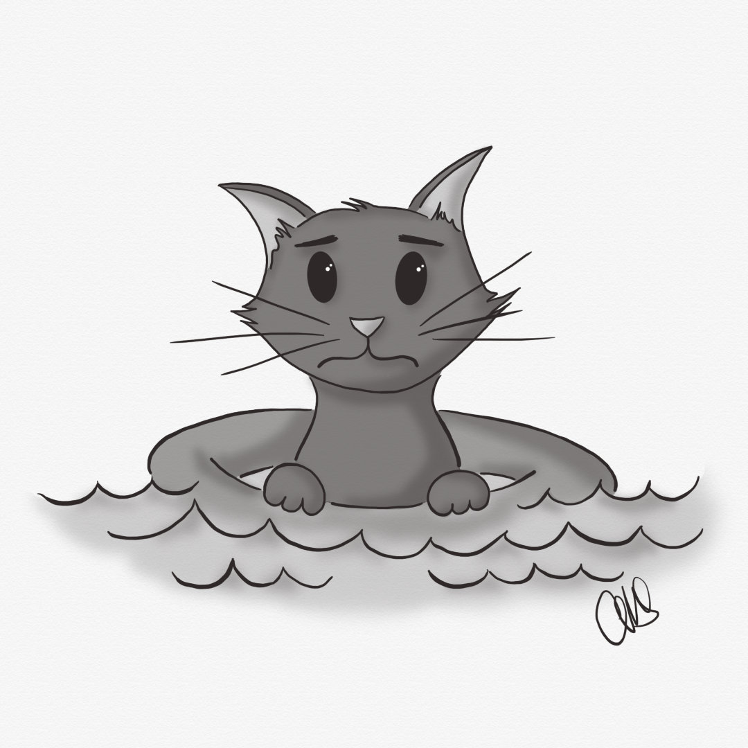 Cat that looks upset or nervous about being in the water. It is floating in an innertube.